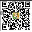 中金汇安